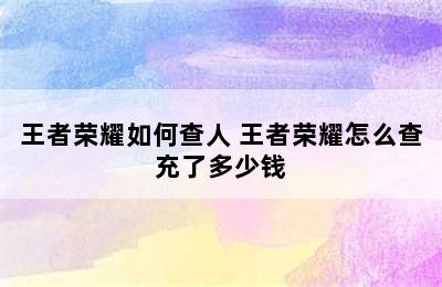 王者荣耀如何查人 王者荣耀怎么查充了多少钱